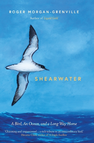Паперова книга «Shearwater: A Bird, an Ocean, and a Long Way Home», автор Роджер Морган-Гренвіль - фото №1