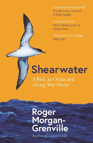 Паперова книга «Shearwater: A Bird, an Ocean, and a Long Way Home», автор Роджер Морган-Гренвіль - фото №1