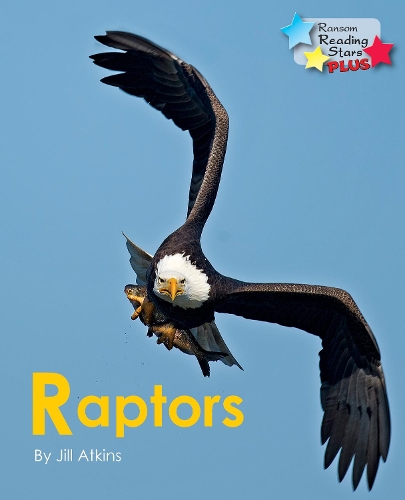 Паперова книга «Raptors», автор Джилл Аткінс - фото №1