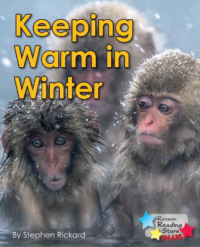 Бумажная книга «Keeping Warm in Winter», автор Стивен Рикард - фото №1