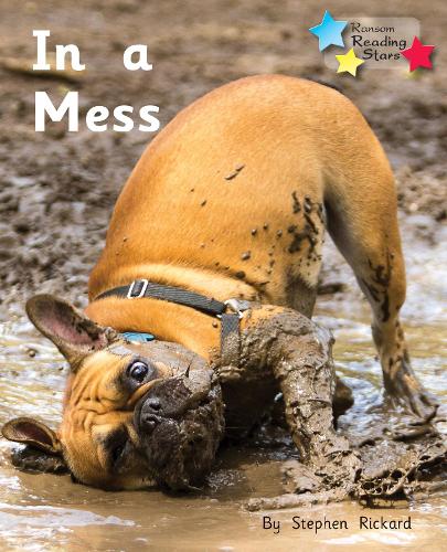 Паперова книга «In a Mess: Phonics Phase 2», автор Стівен Рікард - фото №1