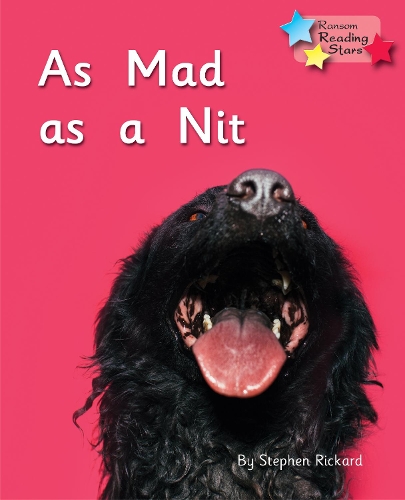Бумажная книга «As Mad as a Nit: Phonics Phase 2», автор Стивен Рикард - фото №1