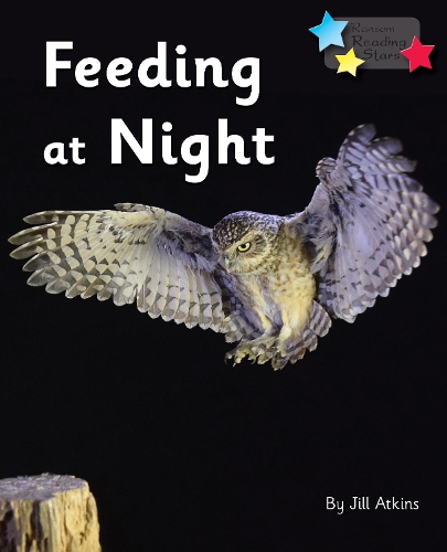 Паперова книга «Feeding at Night: Phonics Phase 3», автор Джилл Аткінс - фото №1