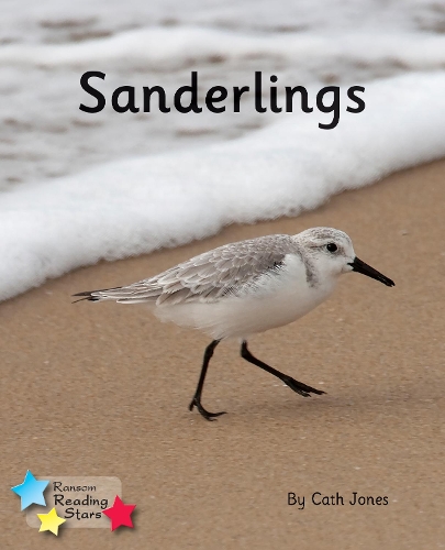 Паперова книга «Sanderlings: Phonics Phase 4», автор Кет Джонс - фото №1