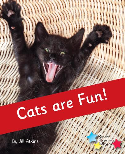 Паперова книга «Cats are Fun!: Phonics Phase 4», автор Джилл Аткінс - фото №1