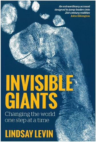 Паперова книга «Invisible Giants: Changing the World One Step at a Time», автор Ліндсі Левін - фото №1