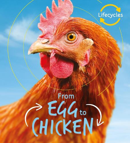 Паперова книга «Lifecycles: Egg to Chicken», автор Камілла де ла Бедойєр - фото №1