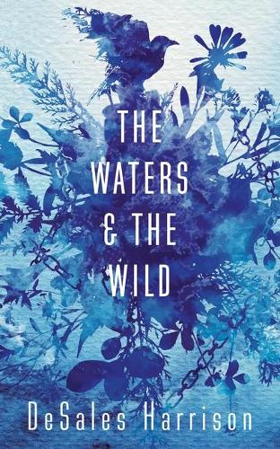 Паперова книга «The Waters and the Wild», автор ДеСейлз Гаррісон - фото №1