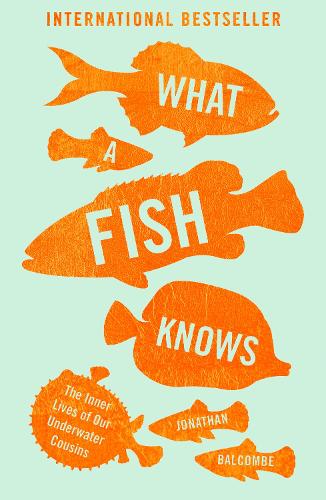 Паперова книга «What a Fish Knows: The Inner Lives of Our Underwater Cousins», автор Джонатан Балкомб - фото №1