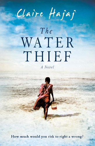 Паперова книга «The Water Thief», автор Клер Хаджадж - фото №1