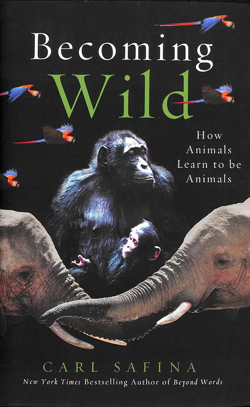 Бумажная книга «Becoming Wild. How Animals Learn to be Animals», автор Карл Сафина - фото №1