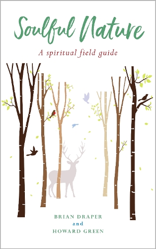 Паперова книга «Soulful Nature: A spiritual field guide», авторів Брайан Дрейпер, Говард Грін - фото №1