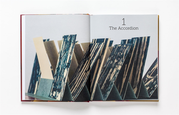 Бумажная книга «The Art of the Fold. How to Make Innovative Books and Paper Structures», автор Кайл Хеди - фото №1