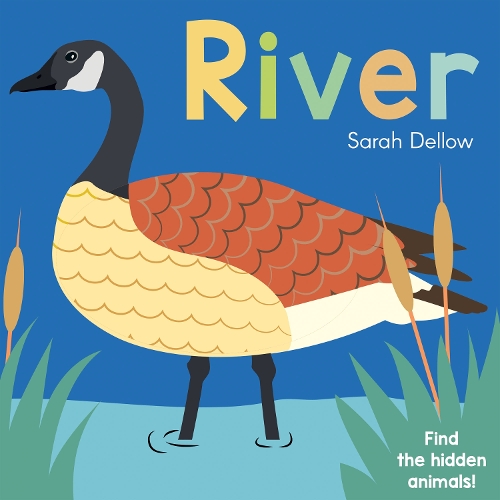 Бумажная книга «Now you See It! River», автор Сара Деллоу - фото №1