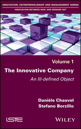 Бумажная книга «The Innovative Company: An Ill-defined Object», авторов Даниэле Шовель, Стефано Борзилло - фото №1