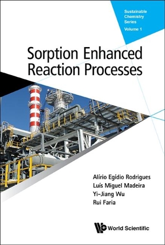 Паперова книга «Sorption Enhanced Reaction Processes», авторів Аліріо Егідіо Родрігес, Луїс Мігель Мадейра, Руї Фарія, І-цзян Ву - фото №1