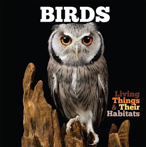 Бумажная книга «Birds», автор Грейс Джонс - фото №1