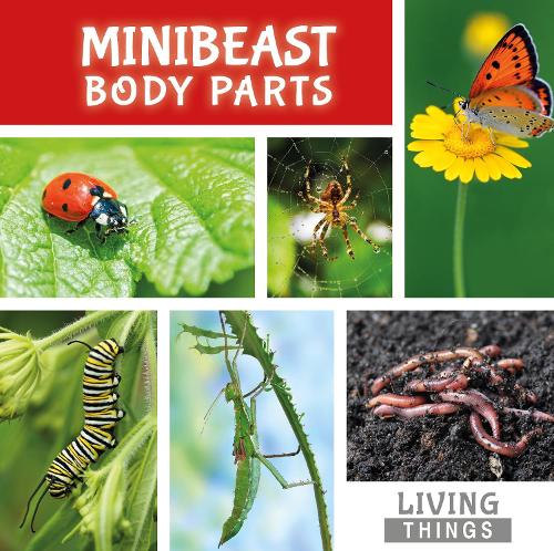 Бумажная книга «Minibeast Body Parts», автор Стеффи Кавелл-Кларк - фото №1
