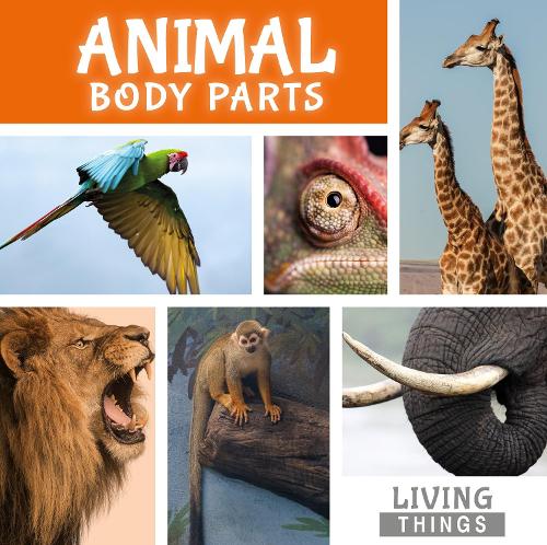 Бумажная книга «Animal Body Parts», автор Стеффи Кавелл-Кларк - фото №1