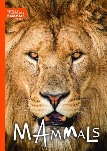 Бумажная книга «Mammals», автор Чарли Огден - фото №1