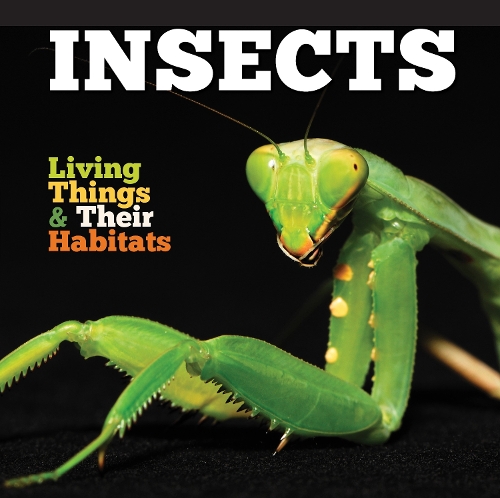 Паперова книга «Insects», автор Грейс Джонс - фото №1