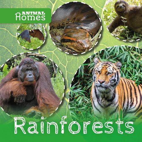 Бумажная книга «Rainforests», автор Джон Вуд - фото №1