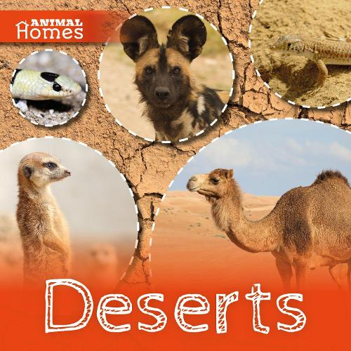 Паперова книга «Deserts», автор Джон Вуд - фото №1