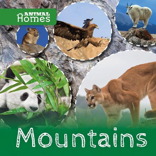Бумажная книга «Mountains», автор Джон Вуд - фото №1