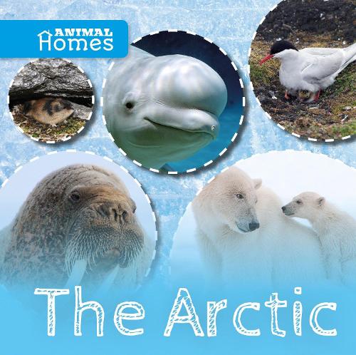 Паперова книга «The Arctic», автор Джон Вуд - фото №1