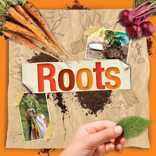 Бумажная книга «Roots», автор Стеффи Кавелл-Кларк - фото №1