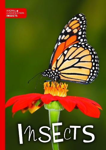 Бумажная книга «Insects», автор Чарли Огден - фото №1