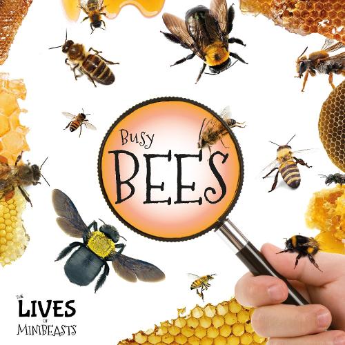 Бумажная книга «Busy Bees», автор Холли Дьюиг - фото №1