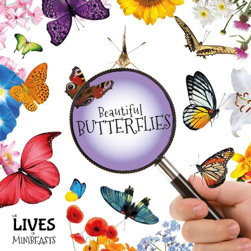Бумажная книга «Beautiful Butterflies», автор Холли Дьюиг - фото №1