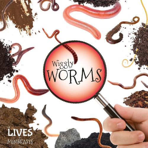 Паперова книга «Wiggly Worms», автор Голлі Дьюїг - фото №1