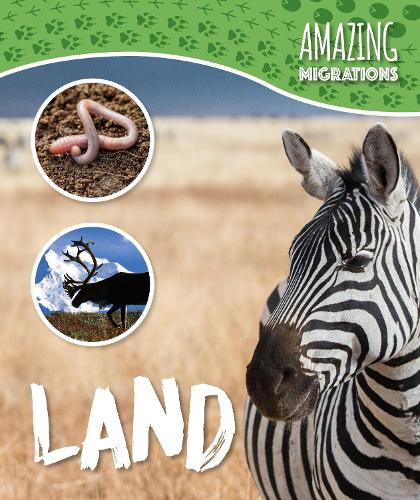 Бумажная книга «Land», автор Харриет Брандл - фото №1