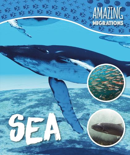 Бумажная книга «Sea», автор Харриет Брандл - фото №1