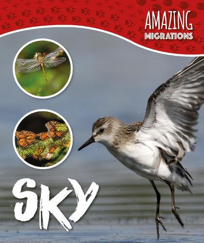 Бумажная книга «Sky», автор Харриет Брандл - фото №1