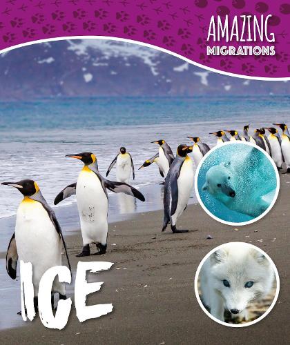 Бумажная книга «Ice», автор Харриет Брандл - фото №1