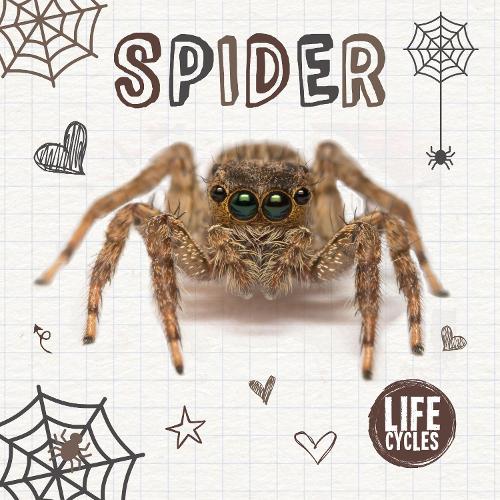 Бумажная книга «Spider», автор Холли Дьюиг - фото №1