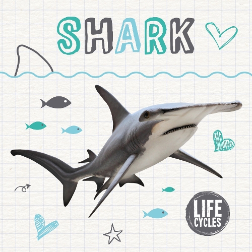 Бумажная книга «Shark», автор Холли Дьюиг - фото №1