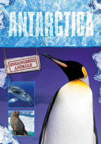 Бумажная книга «Antarctica», автор Грейс Джонс - фото №1