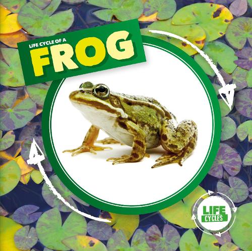Бумажная книга «Life Cycle of a Frog», автор Керсти Холмс - фото №1