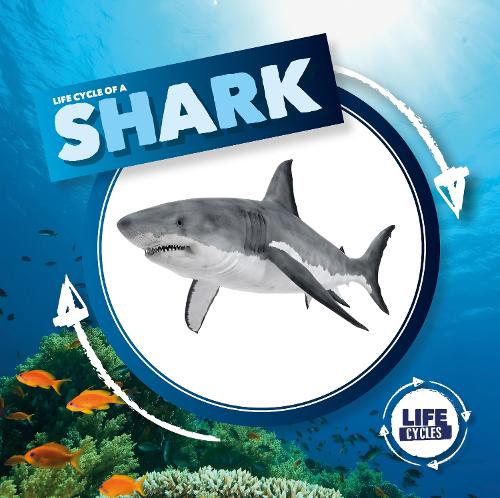 Бумажная книга «Life Cycle of a Shark», автор Керсти Холмс - фото №1