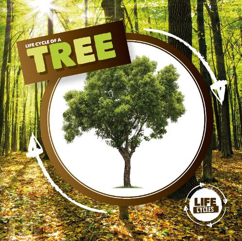 Паперова книга «Life Cycle of a Tree», автор Керсті Голмс - фото №1
