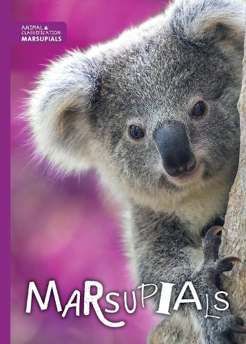 Бумажная книга «Marsupials», автор Мэдлин Тайлер - фото №1