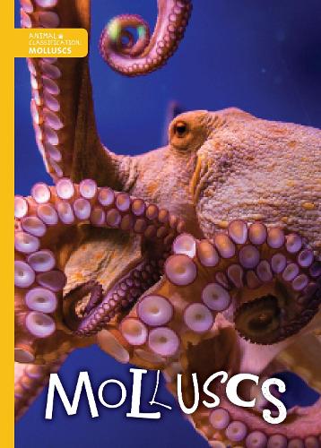 Бумажная книга «Molluscs», автор Мэдлин Тайлер - фото №1