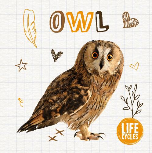 Бумажная книга «Owl», автор Мэдлин Тайлер - фото №1