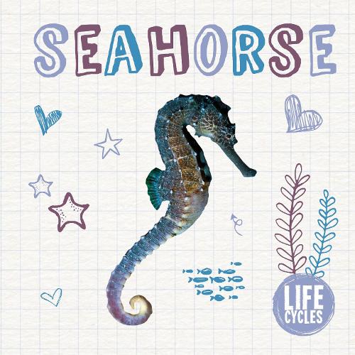 Бумажная книга «Seahorse», автор Мэдлин Тайлер - фото №1