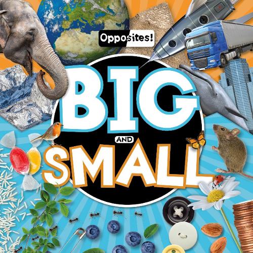 Бумажная книга «Big and Small», автор Эмили Дюфрен - фото №1