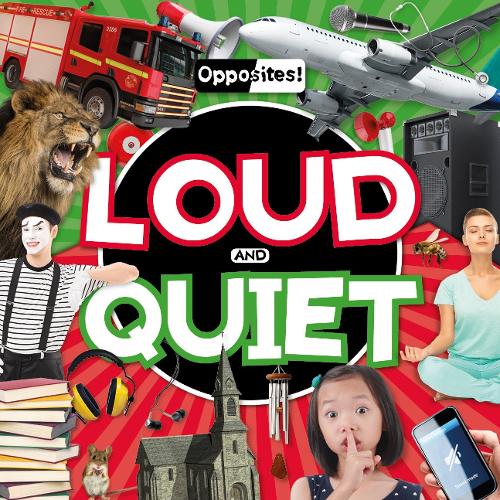 Паперова книга «Loud and Quiet», автор Емілі Дюфрен - фото №1